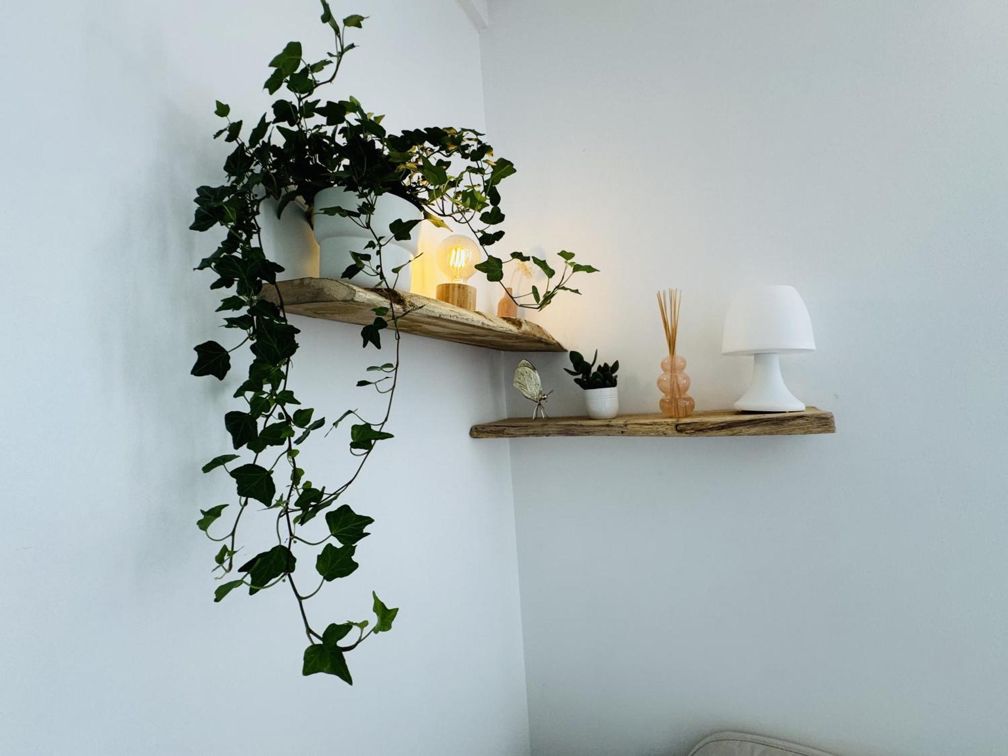 Le Piccolo - Appartement Cosy - Wifi Bègles Dış mekan fotoğraf